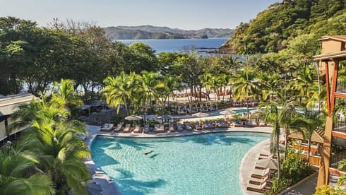 Aerial view of large outdoor pool surrounded by lounge chairs and tropical trees