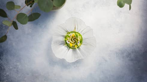 Dry-aged Shima Aji signature dish