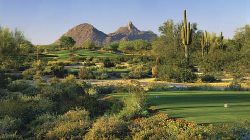 Troon North Golf Club greens, shrubs, tall cactus, mountain in background