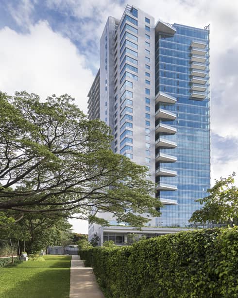 Tall glass building behind lawn with large tree, shrubs
