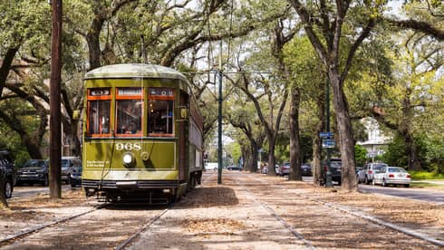 Vintage streetcar on track between trees on New Orleans street