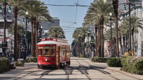 The sun shining down on a red streetcar going down the center of a road lined with palm trees, flower bushes and buildings.