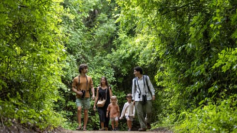 Three adults and two children walk in the forest