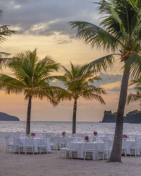 Tables set for dinner on the beach under a canopy of palm trees, a chef cooking over an open flame against the setting sun.