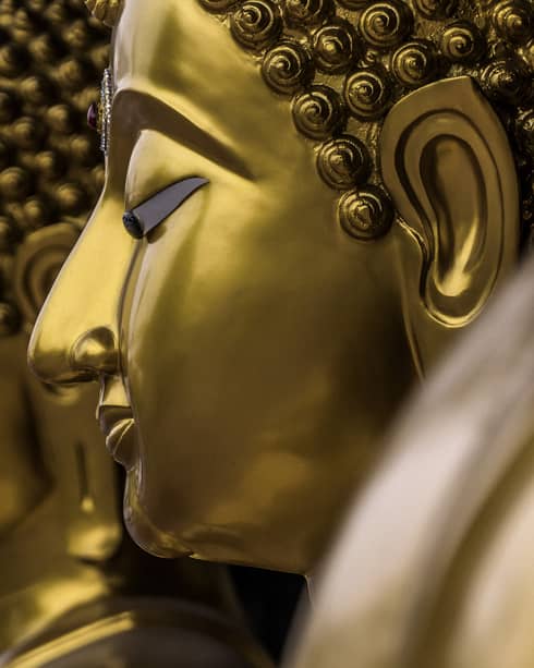 Two gold statues, side of women's face showing nose, ears, closed eyes and hair
