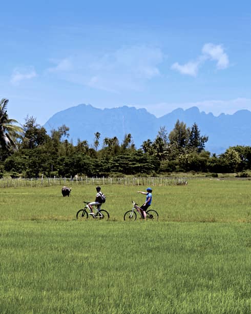 Couple riding bicycles through grassy field, tropical trees, mountains in distance