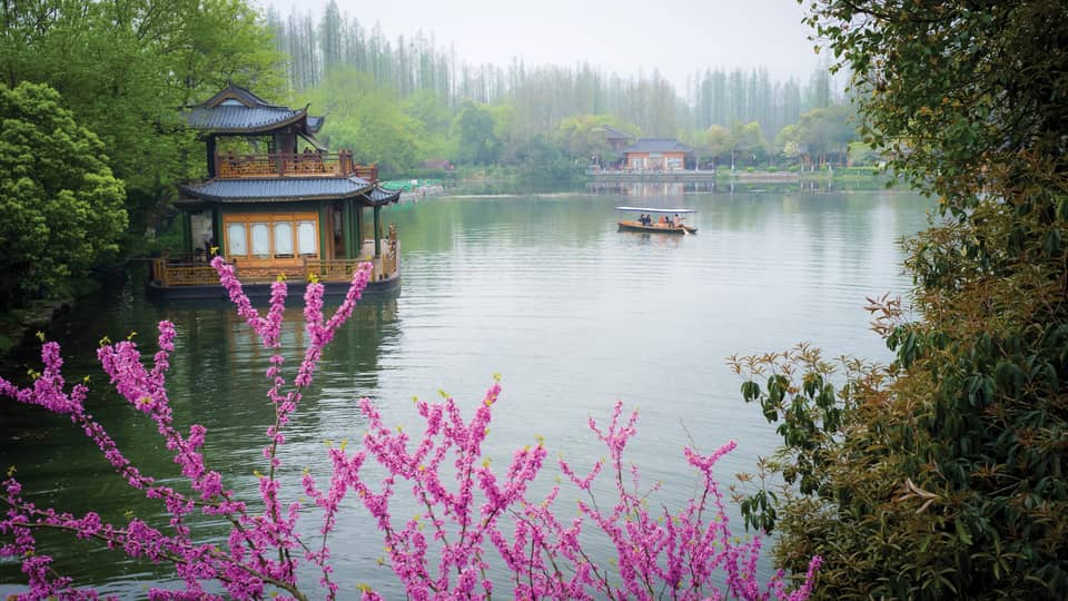Chinese rowboat floats on West Lake beyond floating gazebo past bush with purple flowers