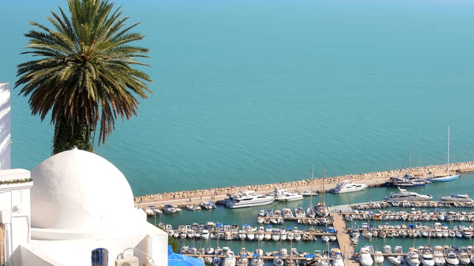 View past white post, palm tree over Mediterranean Sea, waterfront with boats, yachts lining docks