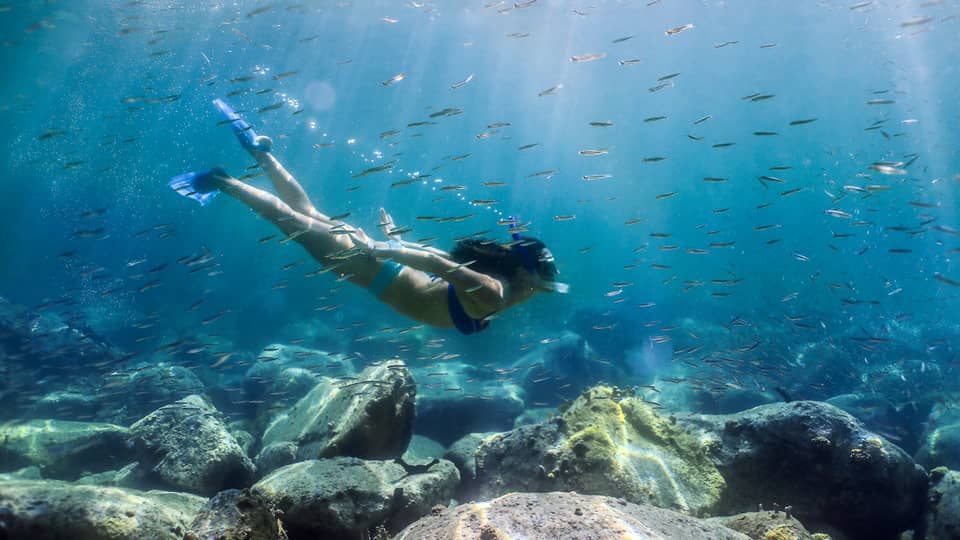 Women with snorkel, mask and fins swims in coral reef among tropical fish