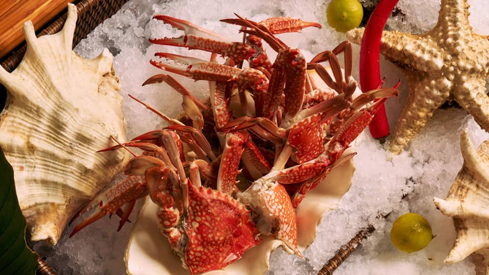 Assorted seafood on platters of ice