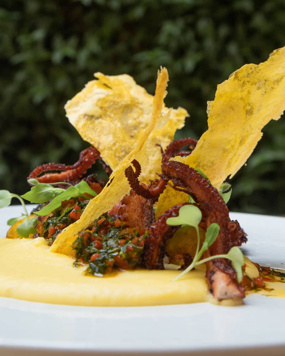 Octopus and potato dish with a yellow sauce.