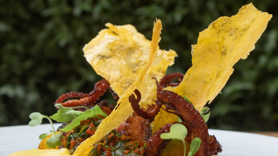 Octopus and potato dish with a yellow sauce.