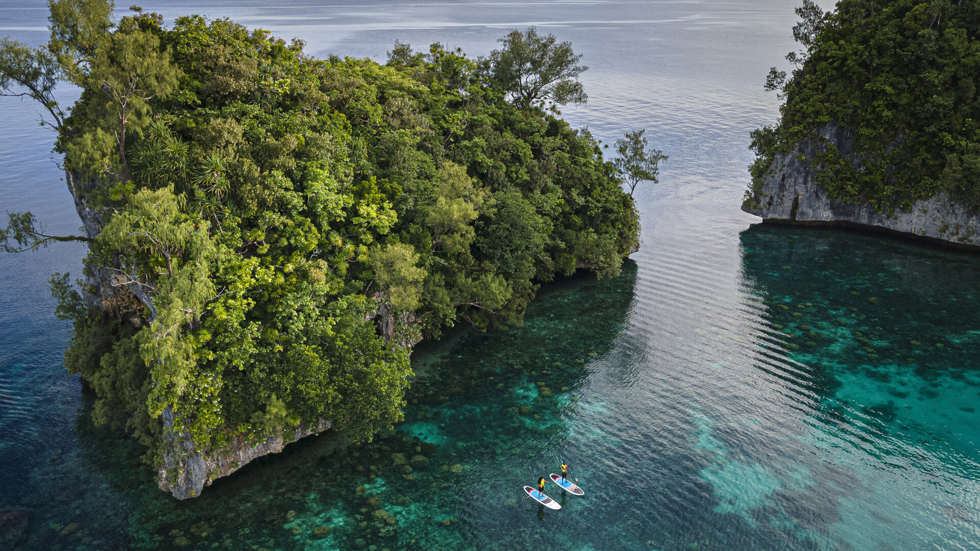 Four Seasons Explorer Sets Sail in Palau, Inviting Travellers to ...