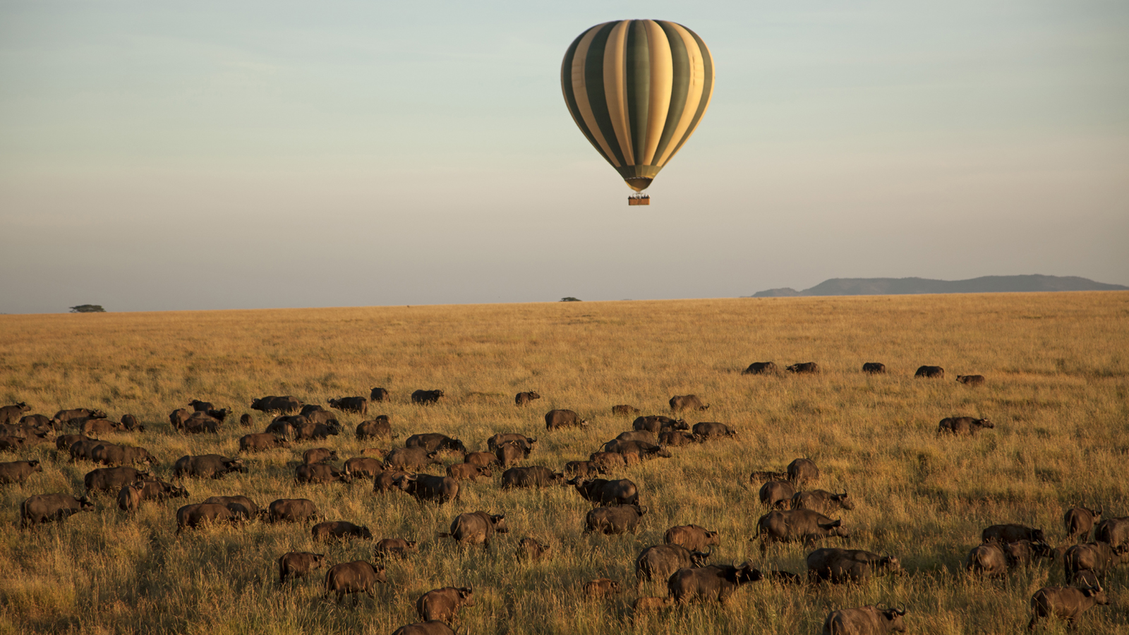 Safari Lodge Serengeti