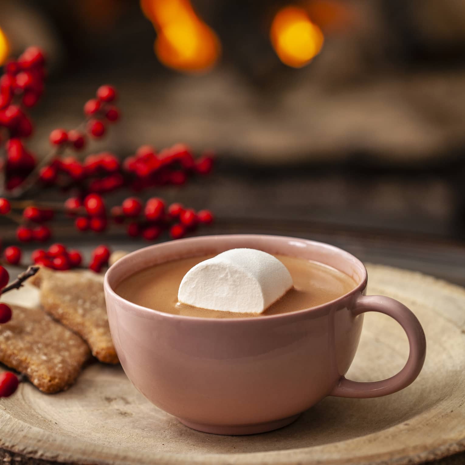 A mug of hot chocolate with a marshmallow in it